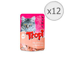 TROPI SAUMON 100G 12PCS