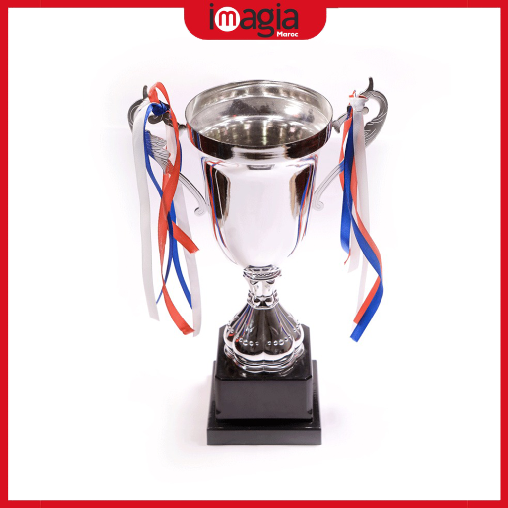 TROPHEES COUP DE FOOTBALL