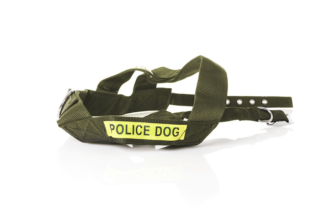 Harnais pour chien « POLICE DOG » avec laisse