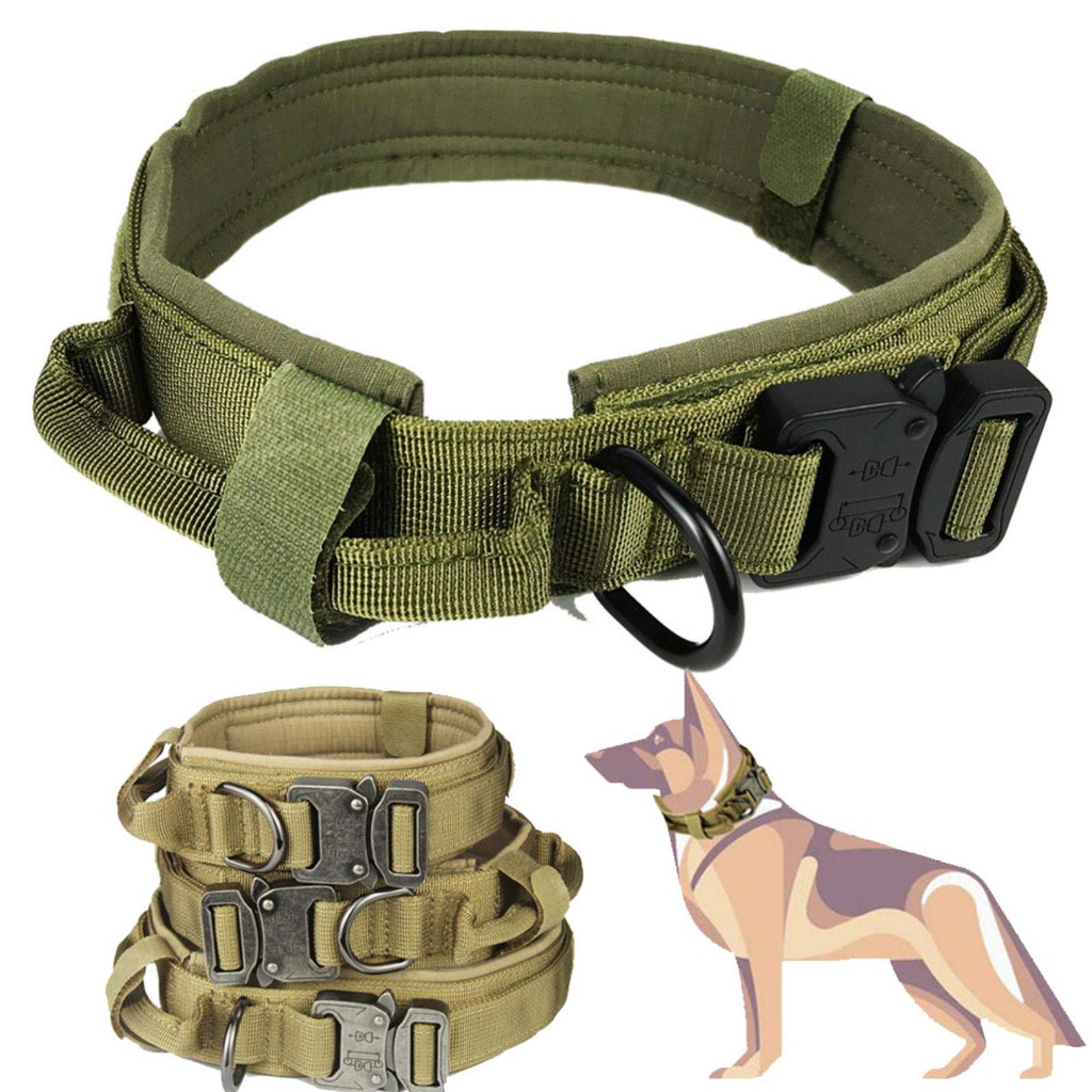 Collier de Chien Tactique Collier en Nylon Militaire