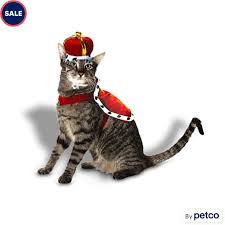 KINGS PET SUPPLIES FOR CAT